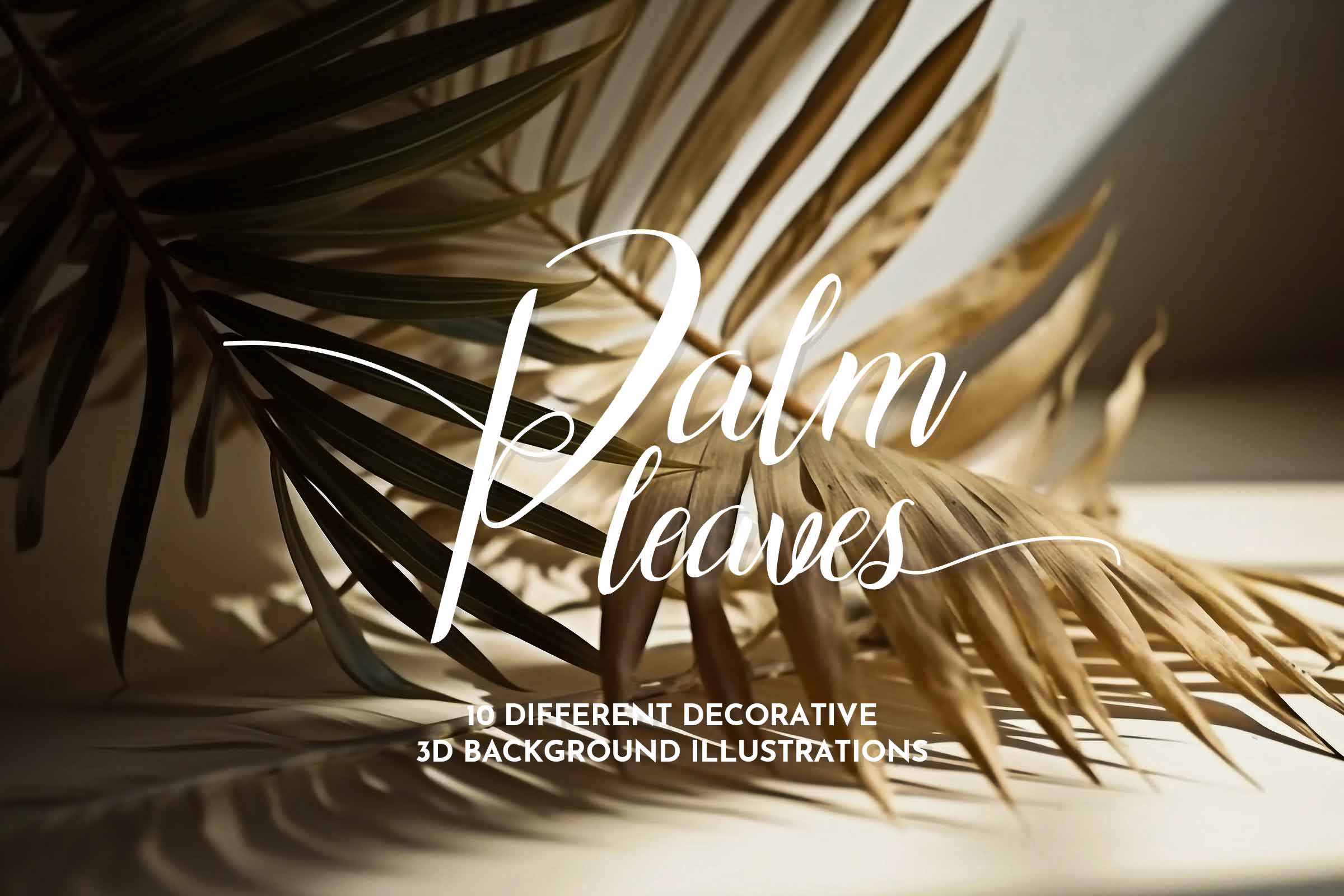 The cover image of a tropical-themed graphic collection, highlighting delicate palm leaves with soft shadows and featuring 10 decorative 3D background designs for creative project